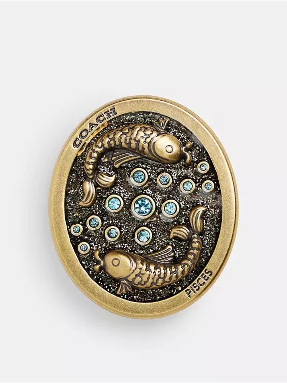 Coach Pisces Souvenir Pin